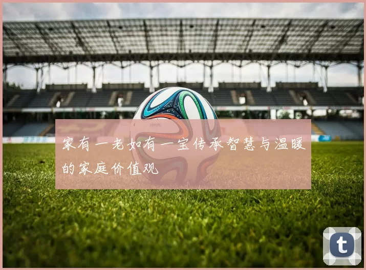 家有一老如有一宝传承智慧与温暖的家庭价值观
